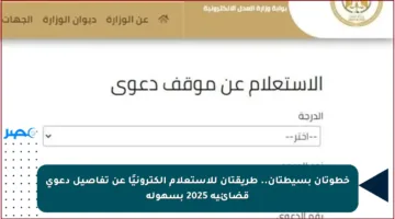 خطوتان بسيطتان.. طريقتان للاستعلام إلكترونيًا عن تفاصيل دعوى قضائية 2025 بسهولة